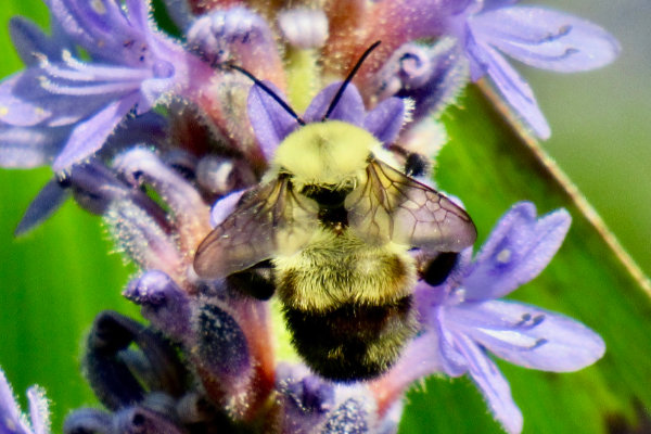 June Newsletter